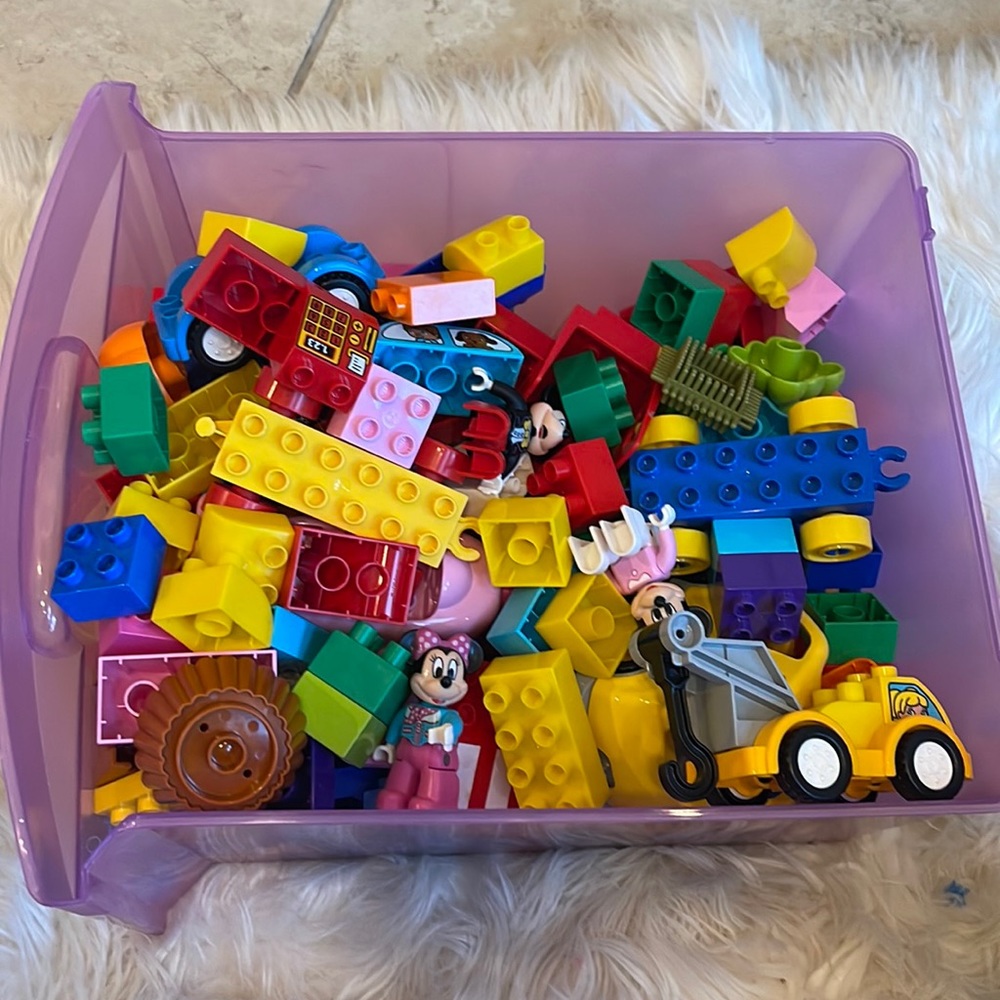 200+ duplo blocks including Minnie Mouse Parade